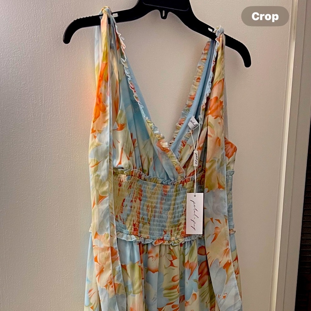 Petal & Pup Blue and Pink Maxi Dress